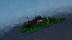 Small woods