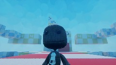 Sackboy test