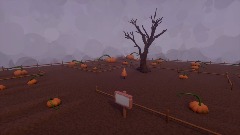 The pumpkin patch