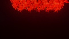 Nutty of the Dead Start