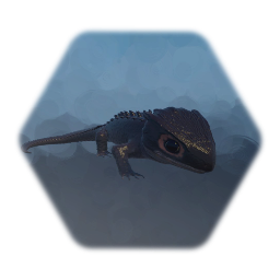 Red Eyed Crocodile Skink | Zoey