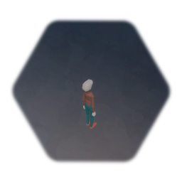 Isometric camera test