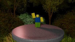 The survivor inventory