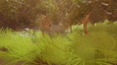 Forest jungle concept 1