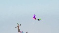 Poopy creations