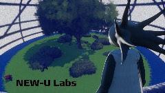 IS | NEW-U Labs