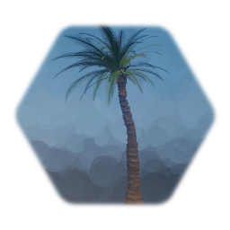 Palm tree