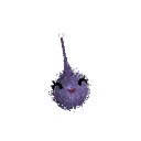 MedusaBall