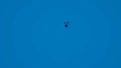 Preview 2 Camouflage Squid Deepfake