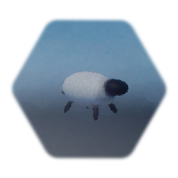 Sheep