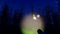 Bendy Woods