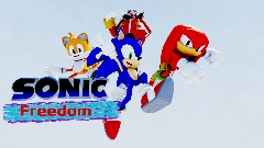 Sonic freedom poster