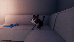 Chipi Chipi Chapa chapa