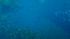 Bad Dream (horror night)