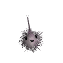 rocket_branch17