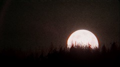 A screenshot taken in Dreams. 11 of 15.