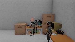 Test.footage