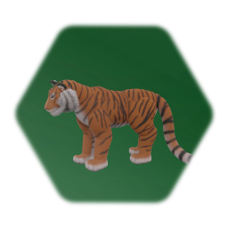 Bengal Tiger