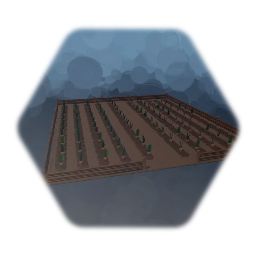 Field of Carrots