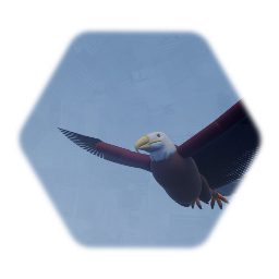 Bald Eagle