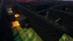 THE MAZE