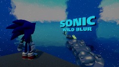 Sonic : Wild Blur