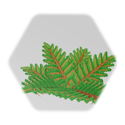 Fern