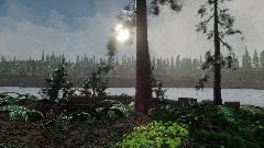 Forest Walk VR