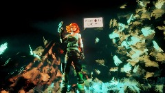 Meryl Sylverburgh                           The Schrodinger fox