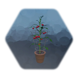 Remix of Tomato Plant