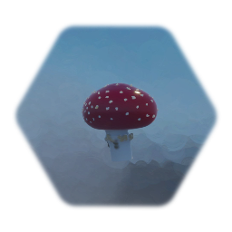 Amanita muscaria - Red Spotted Mushroom