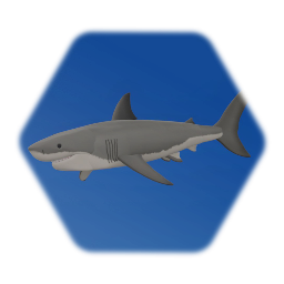 Great White Shark