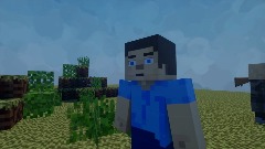 Minecraft Steve - The Box