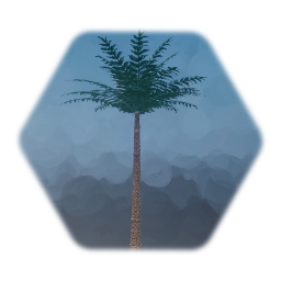 Desert Palm
