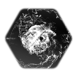 *MAX'S* <term>IMPORT