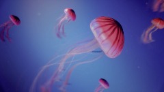 A screenshot taken in Dreams. 4 of 5.