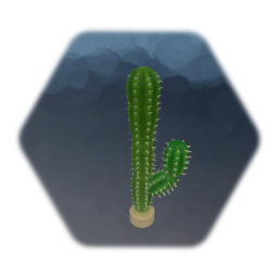 Cactus