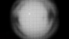 Remix of Backrooms Poolrooms invincible