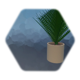 Plant in pot