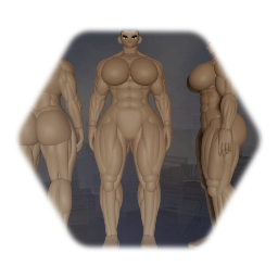 Female muscle template. Outdated.