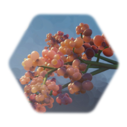 Grapes (Red)
