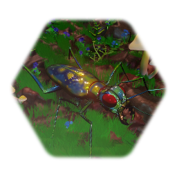 Cicindelinae (Tiger Beetle)