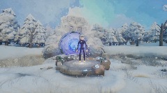 The Tundra