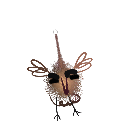 lfreina