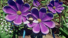 Pollination Meditation