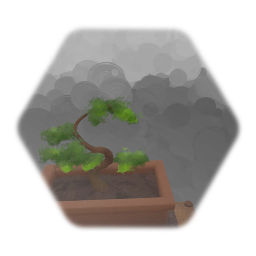 Bonsai Tree
