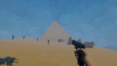 Desert survival
