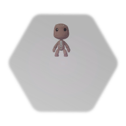 sackboy