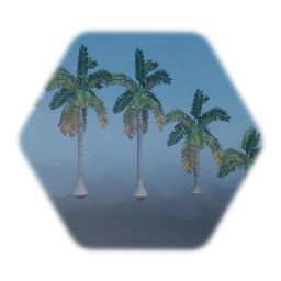 Florida Royal Palm