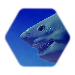 Shark WIP